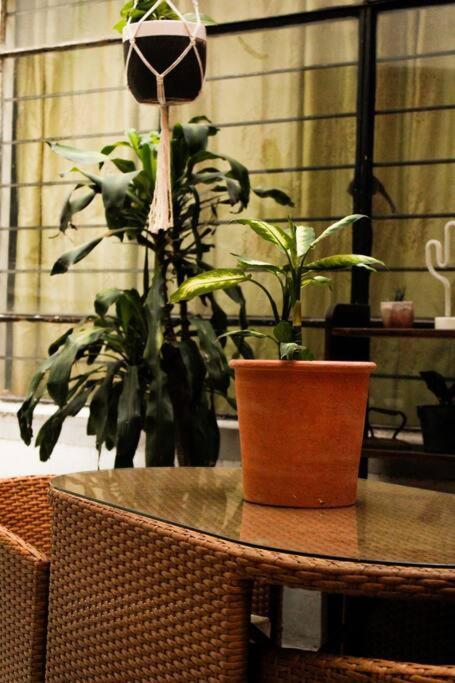 New Mex Inspired Bo-Ho Chic Apartment With Private Patio And Roof Terrace Mexico City Exterior photo